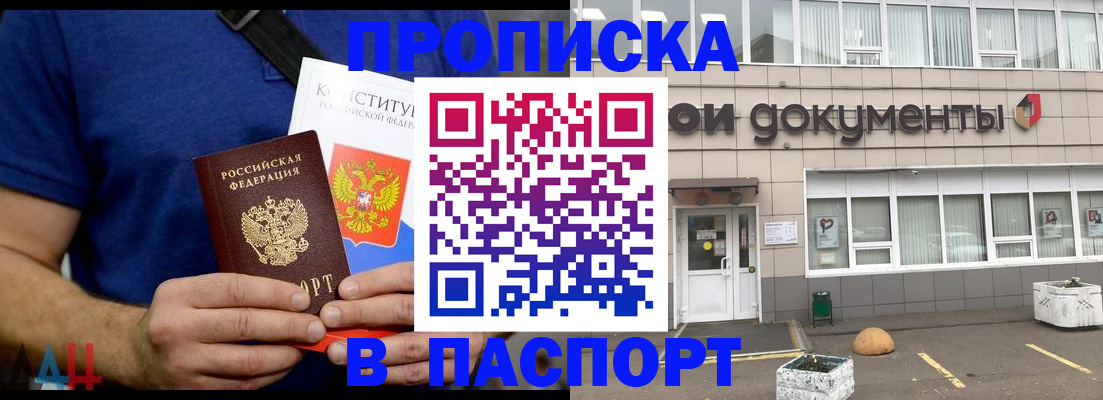 прописка паспорт в Алексеевке